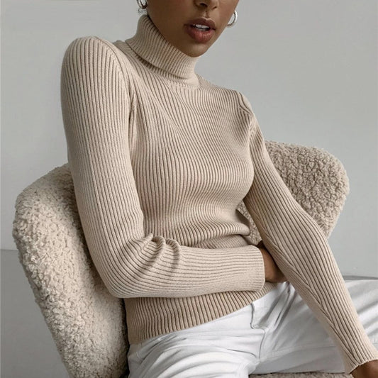 Pit Strip Knit Turtleneck Sweater